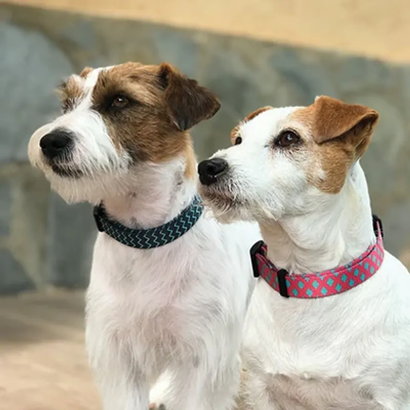 Bånd Fantasy Mint Blac/Mint Pink 20-35cm, Ibanez